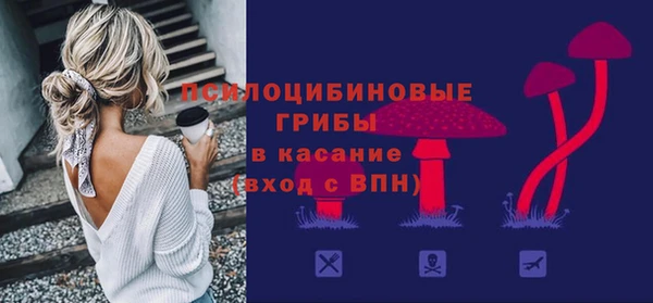 шишки Абаза