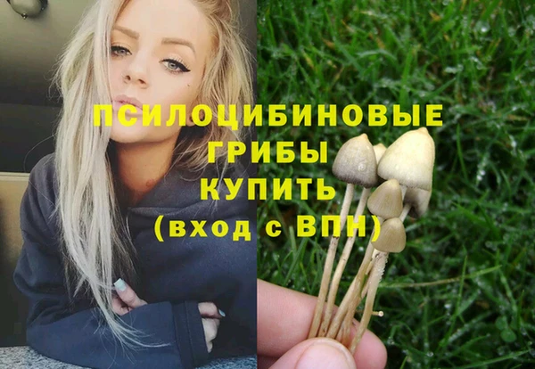 шишки Абаза