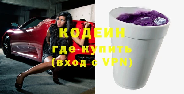 шишки Абаза