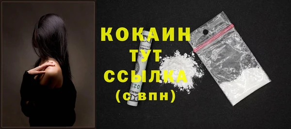 индика Верхний Тагил