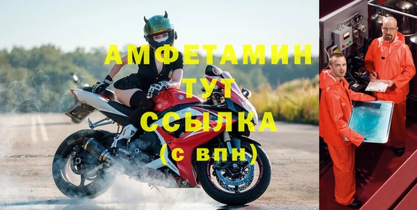 молекула духа Алзамай