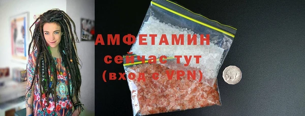 шишки Абаза