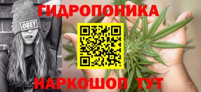 шишки Лесосибирск