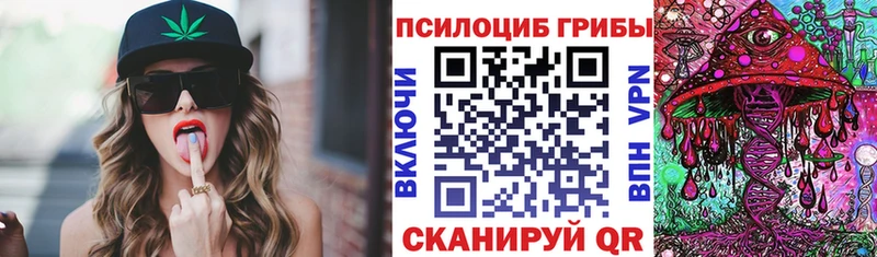 маркетплейс официальный сайт  Иваново  Галлюциногенные грибы Cubensis  цены  