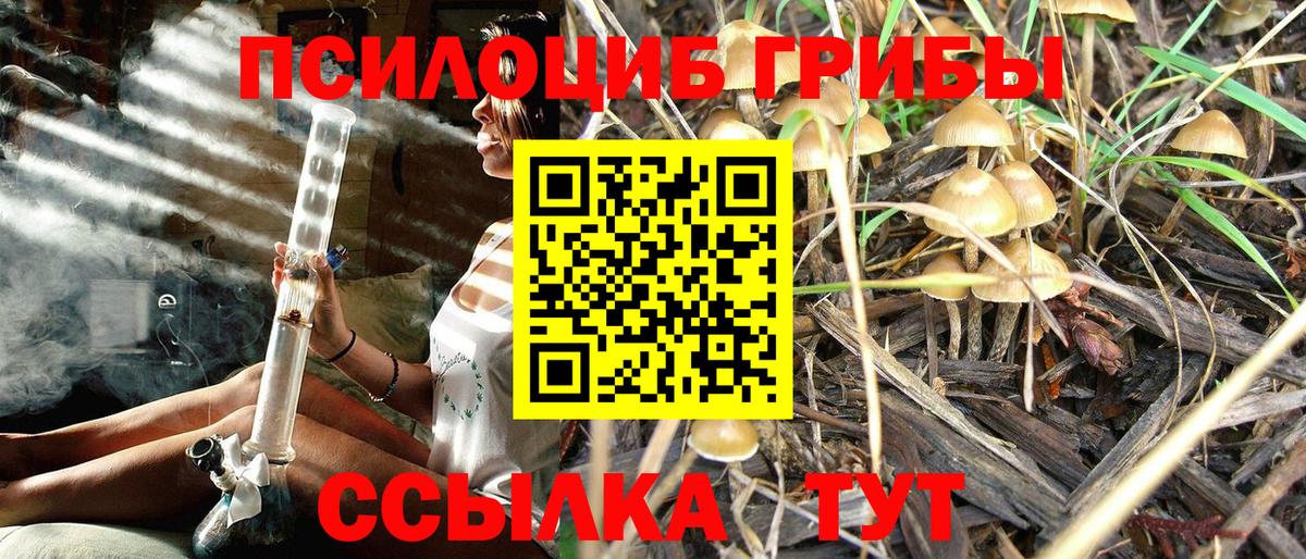 Галлюциногенные грибы Psilocybine cubensis Иваново